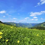 Luxury Chalet in Saalbach Hinterglemm near Ski Area