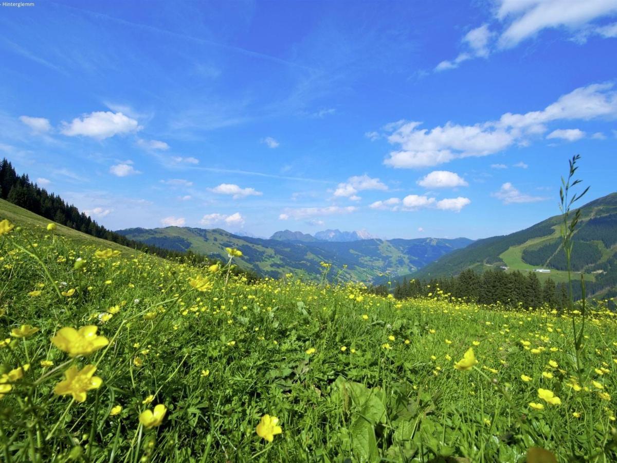 Luxury In Hinterglemm Near Area * Saalbach-Hinterglemm
