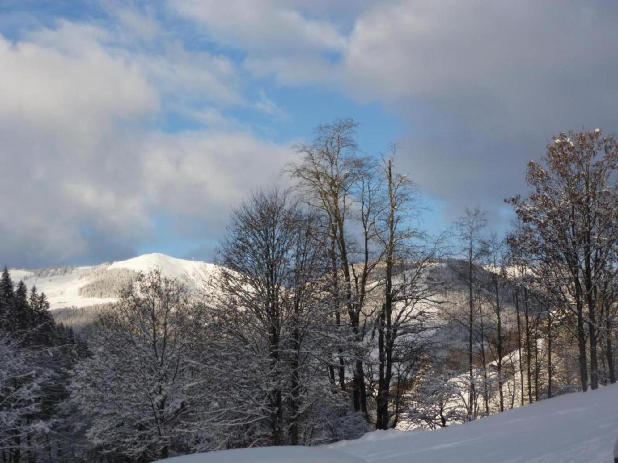 Luxury In Hinterglemm Near Area Chalet Saalbach-Hinterglemm
